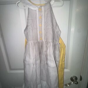 Well Dressed Wolf Striped Gray and Yellow Dress